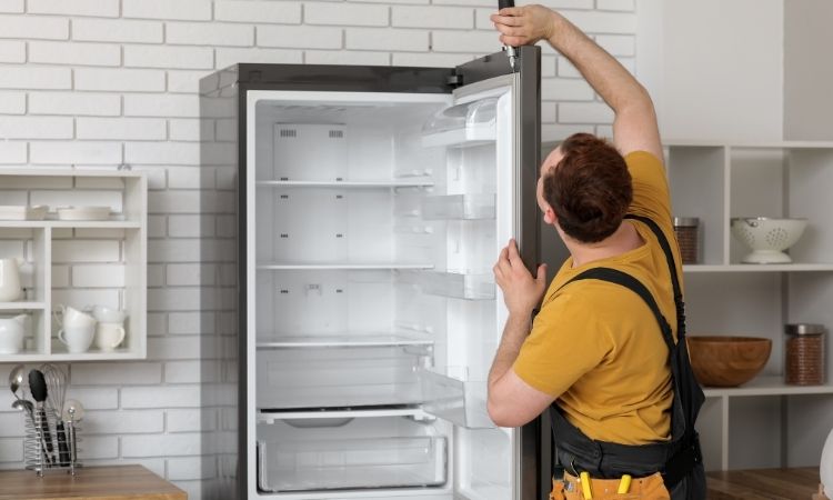 Buca Liebherr Servisi